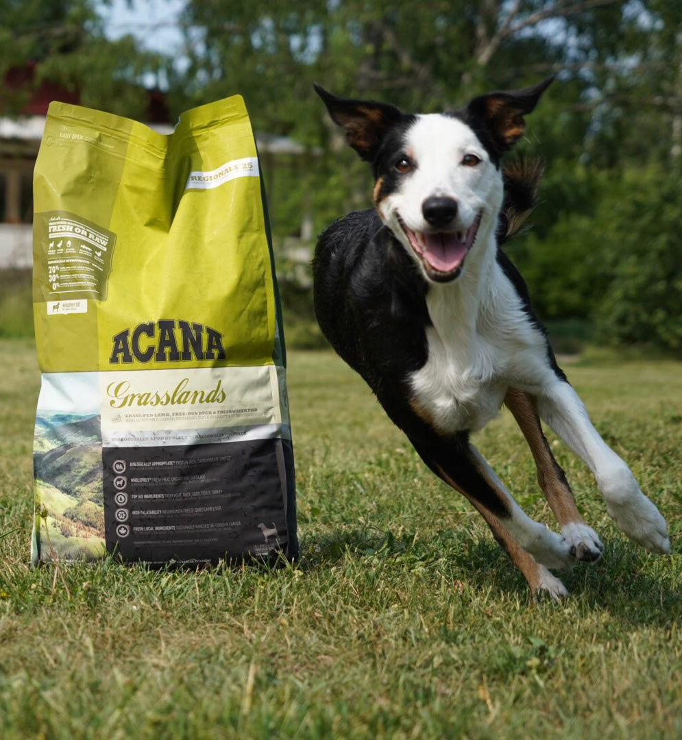 FEATURED SALE ACANA discount GetQuotenow The Good Dog Store