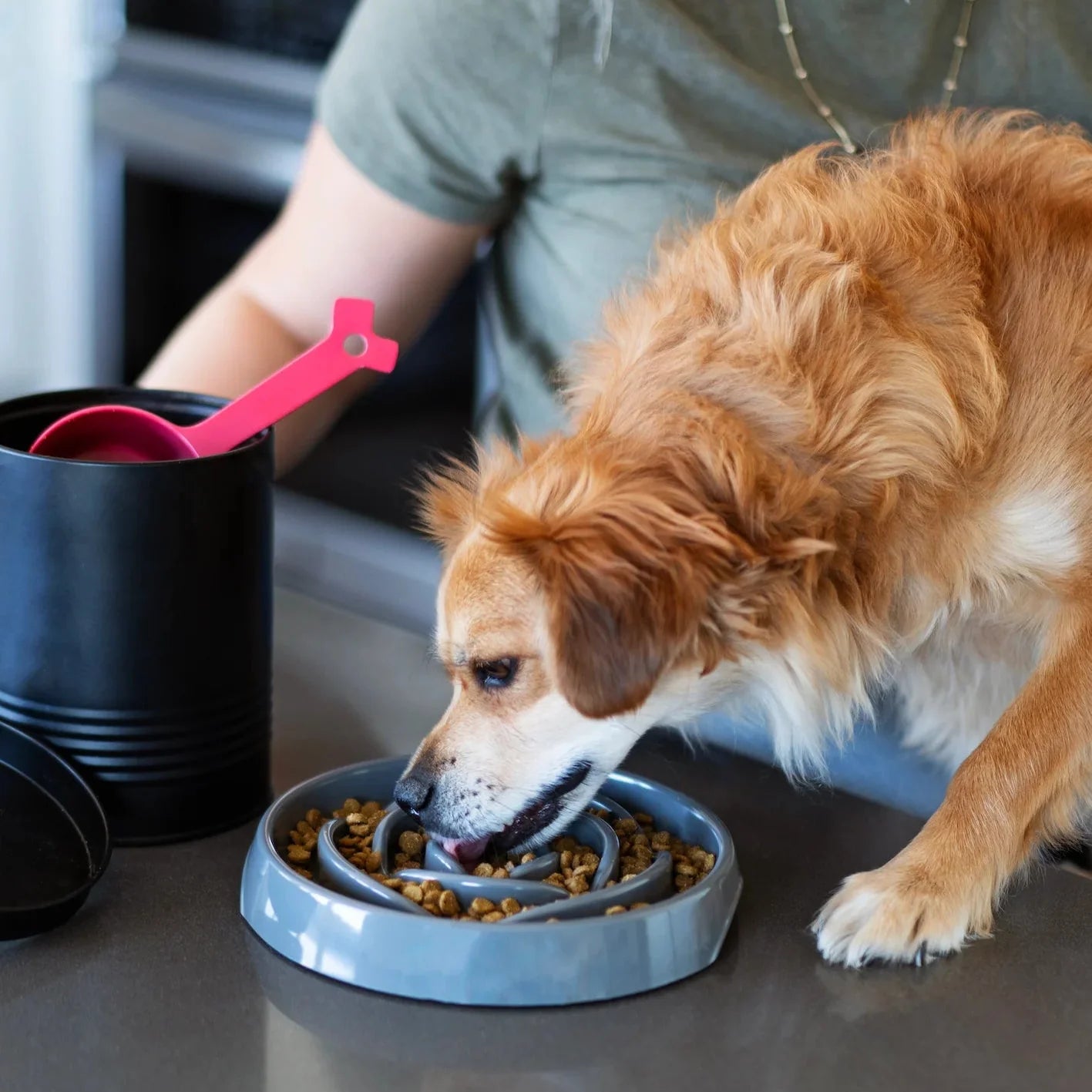 Messy Mutts (Dog or Cats) Interactive Slow Feeder, Holds up to 1.75 Cup