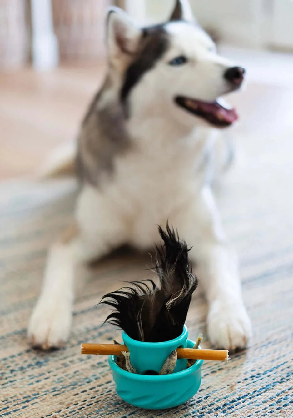 Totally Pooched by Messy Mutts Puzzle'n Play Mushroom Dog Toy