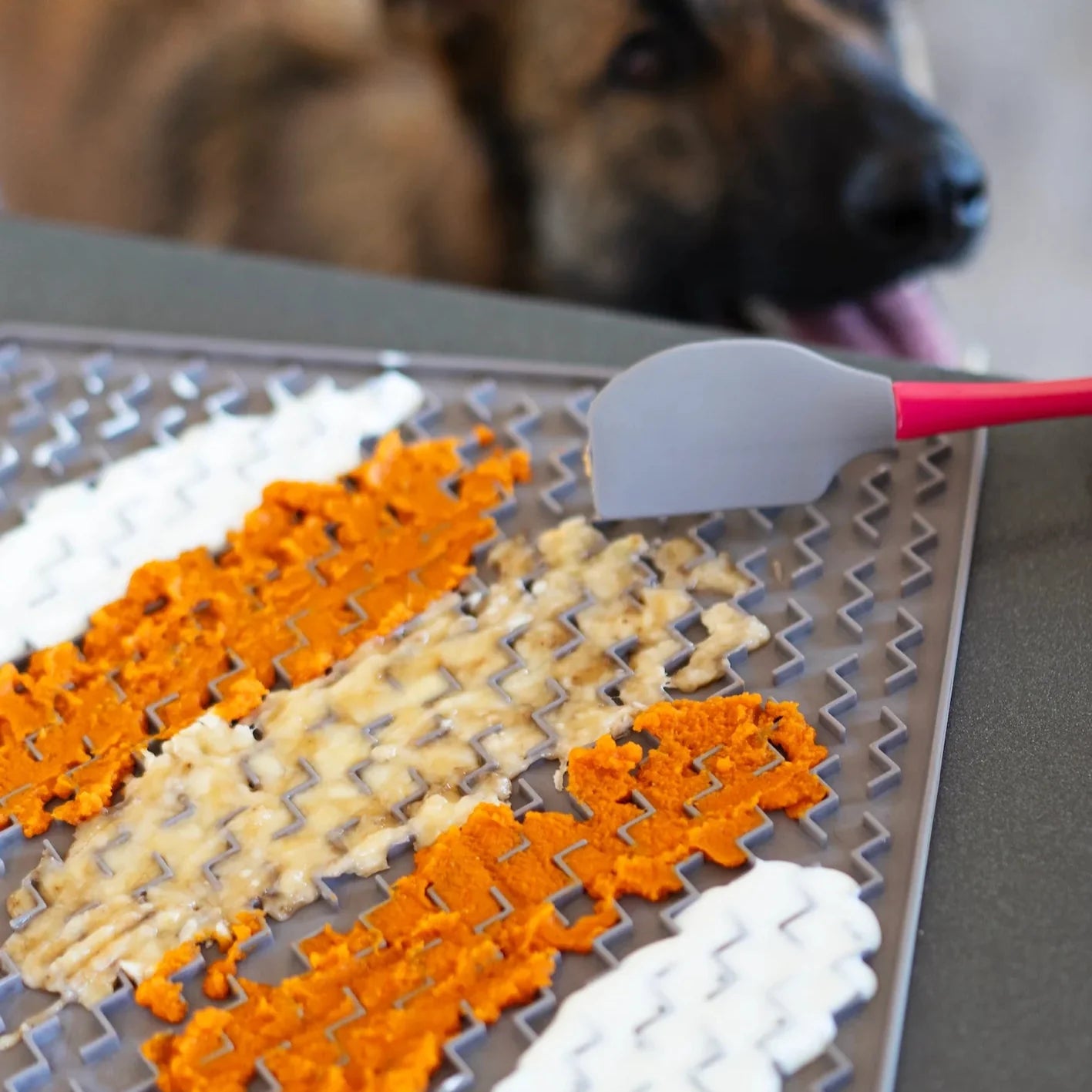 Silicone Therapeutic Dog Licking Mat, Large