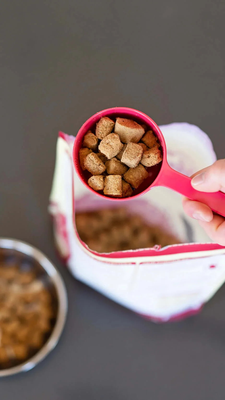 Melamine Dog Food Scoops - 1 cup capacity