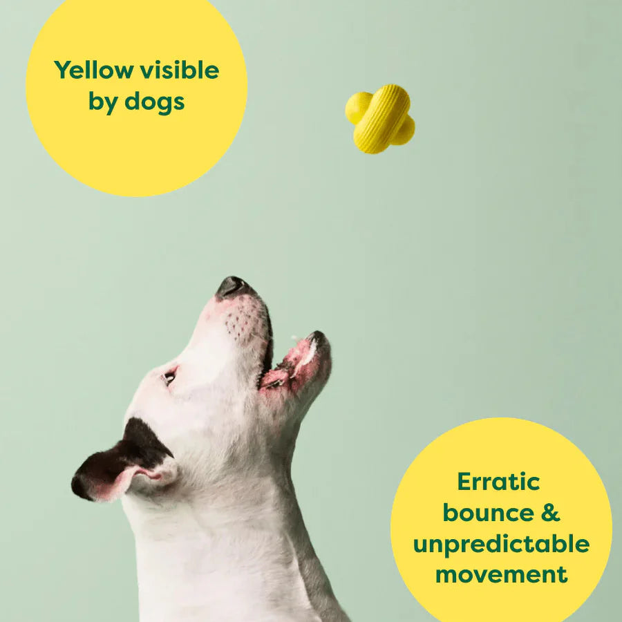 Earth Rated - Fetch Toy