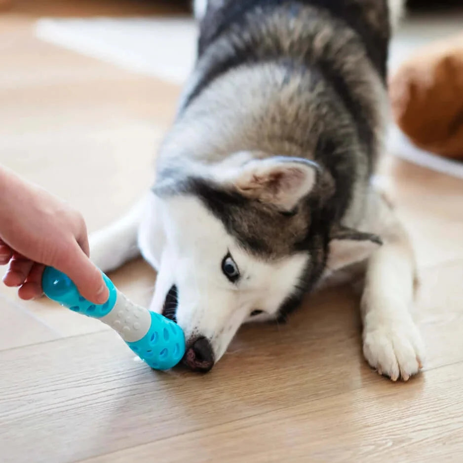Totally Pooched Toss'n Hourglass Dog Toy