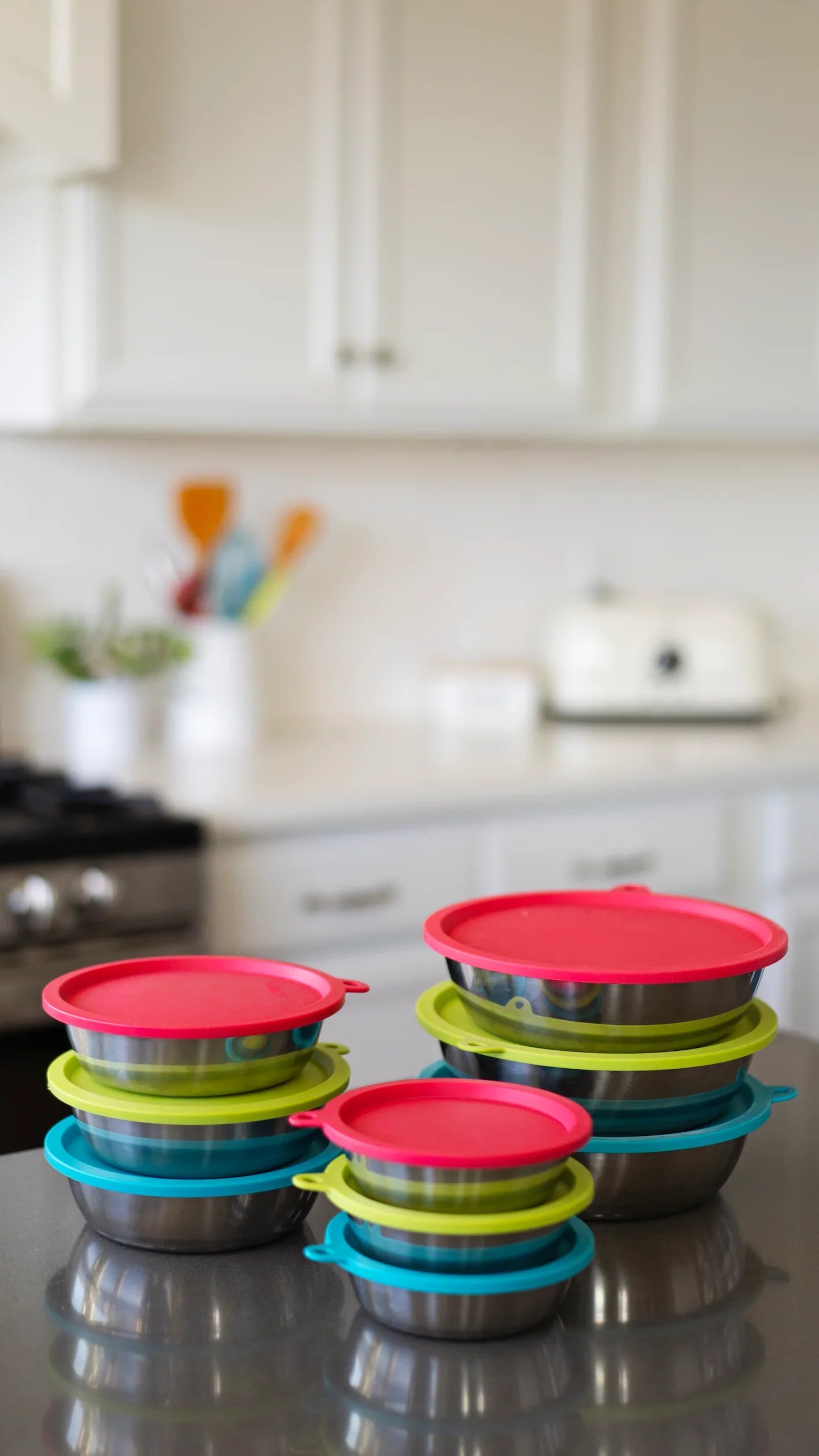 Three Stainless Steel Dog Bowls and Three Silicone Lids, Extra Large, 6 Cups Per Bowl