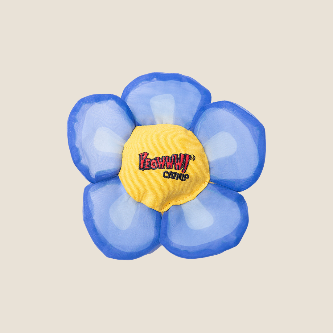 Yeowww! - Catnip Daisy