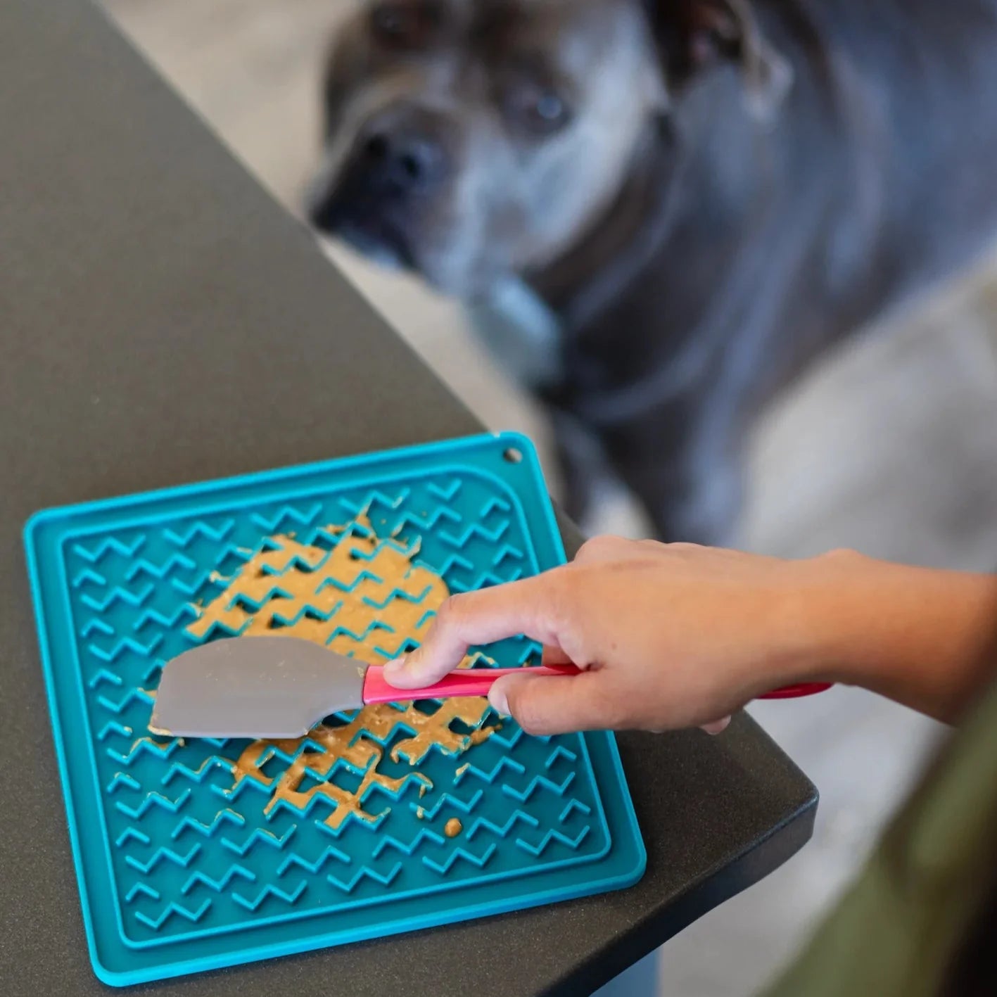Silicone Therapeutic Dog Lick Mat, 8" x 8"