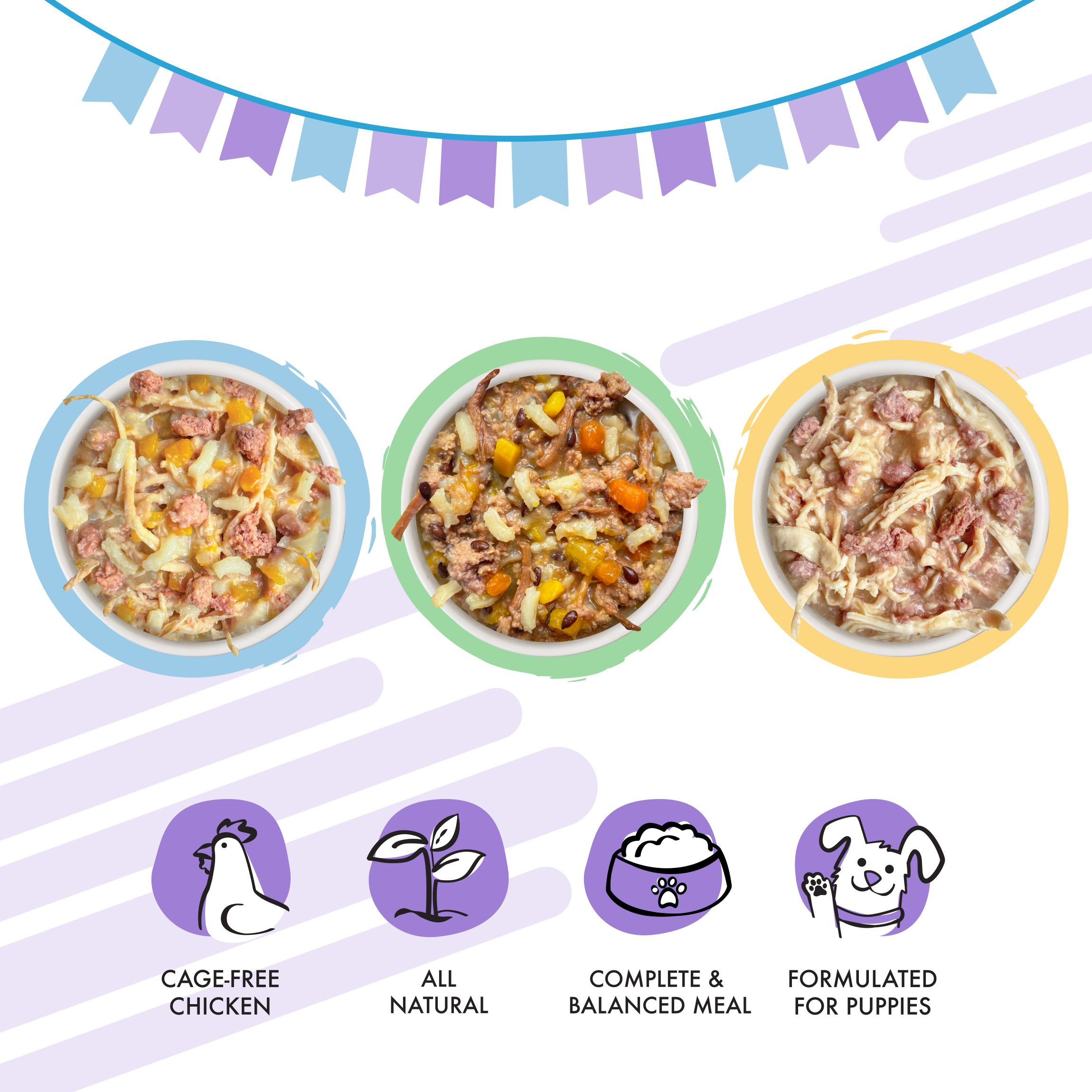 Puppy Can Jam Variety Pack