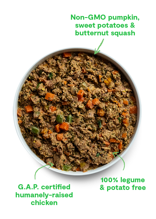 Limited Edition Winter Blend Gently Cooked for Dogs