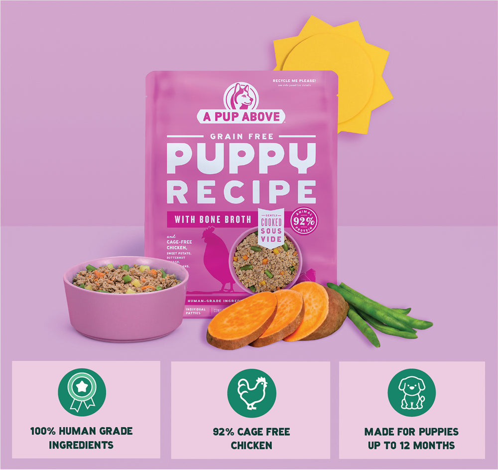 Puppy Recipe