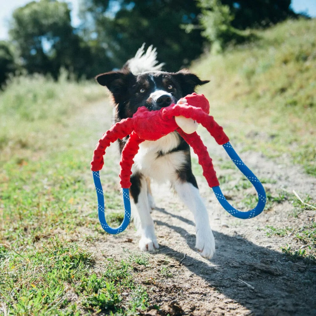 Zippy Paws Monkey RopeTugz Dog Toy