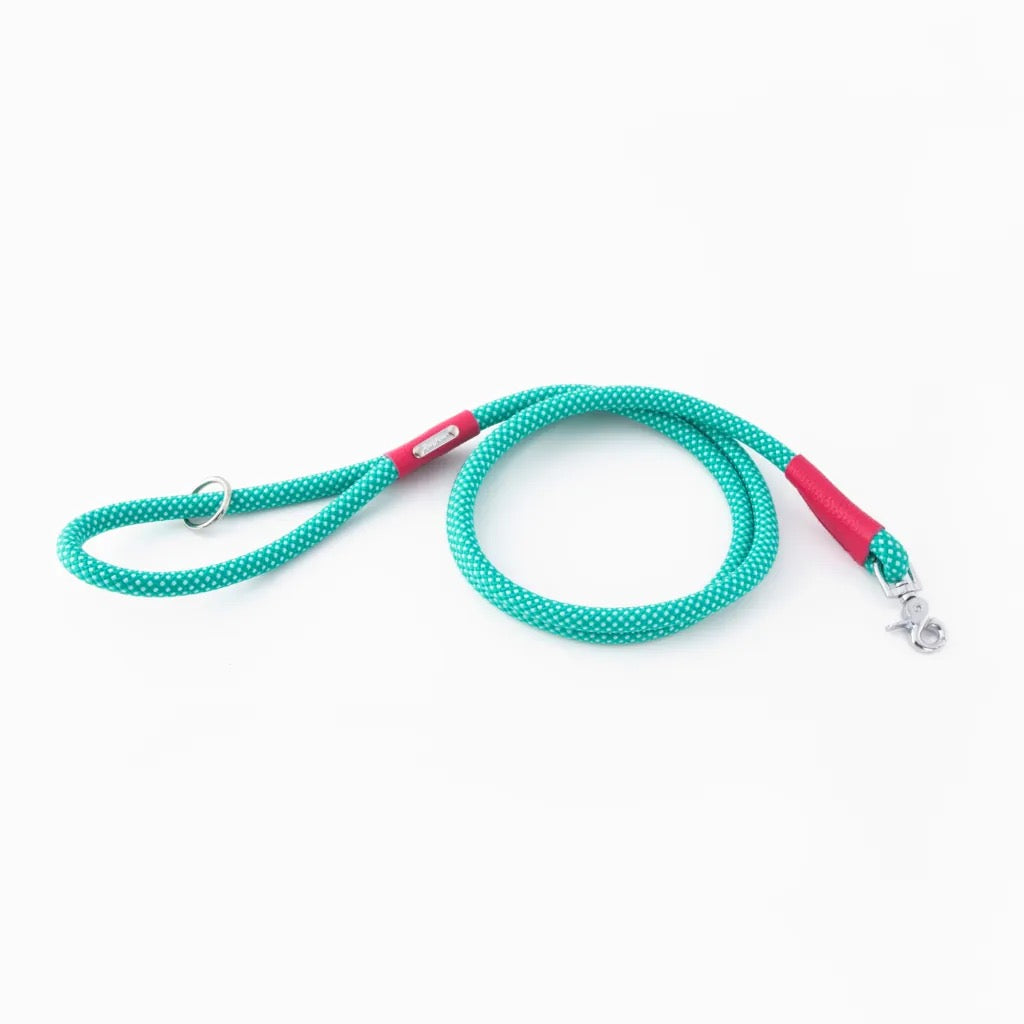 Zippy Paws Mod Essential Leash