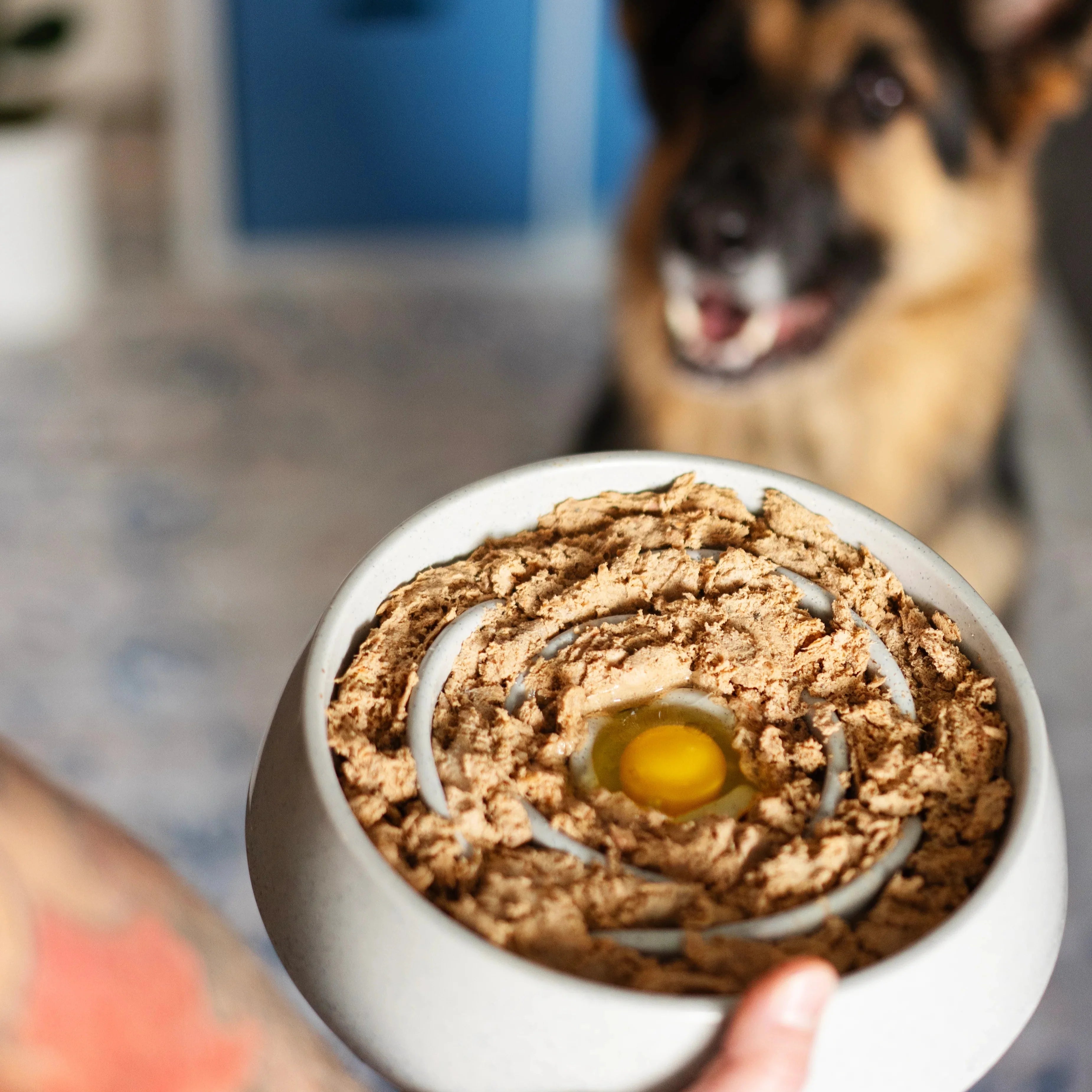 Interactive Dog Slow Feeder, 3 Cup Capacity-Extra Durable