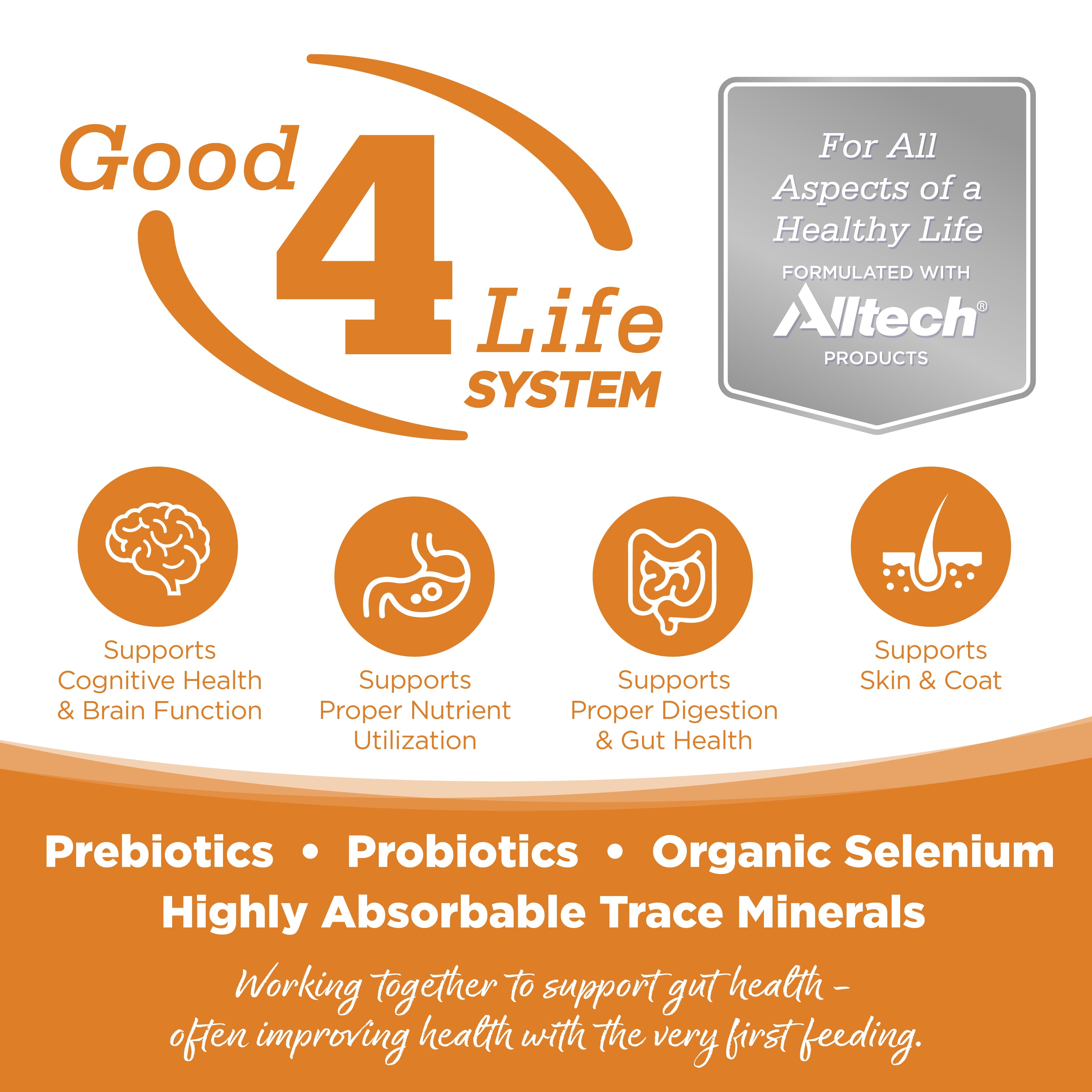 Grain Free Lamb Wet Dog Food