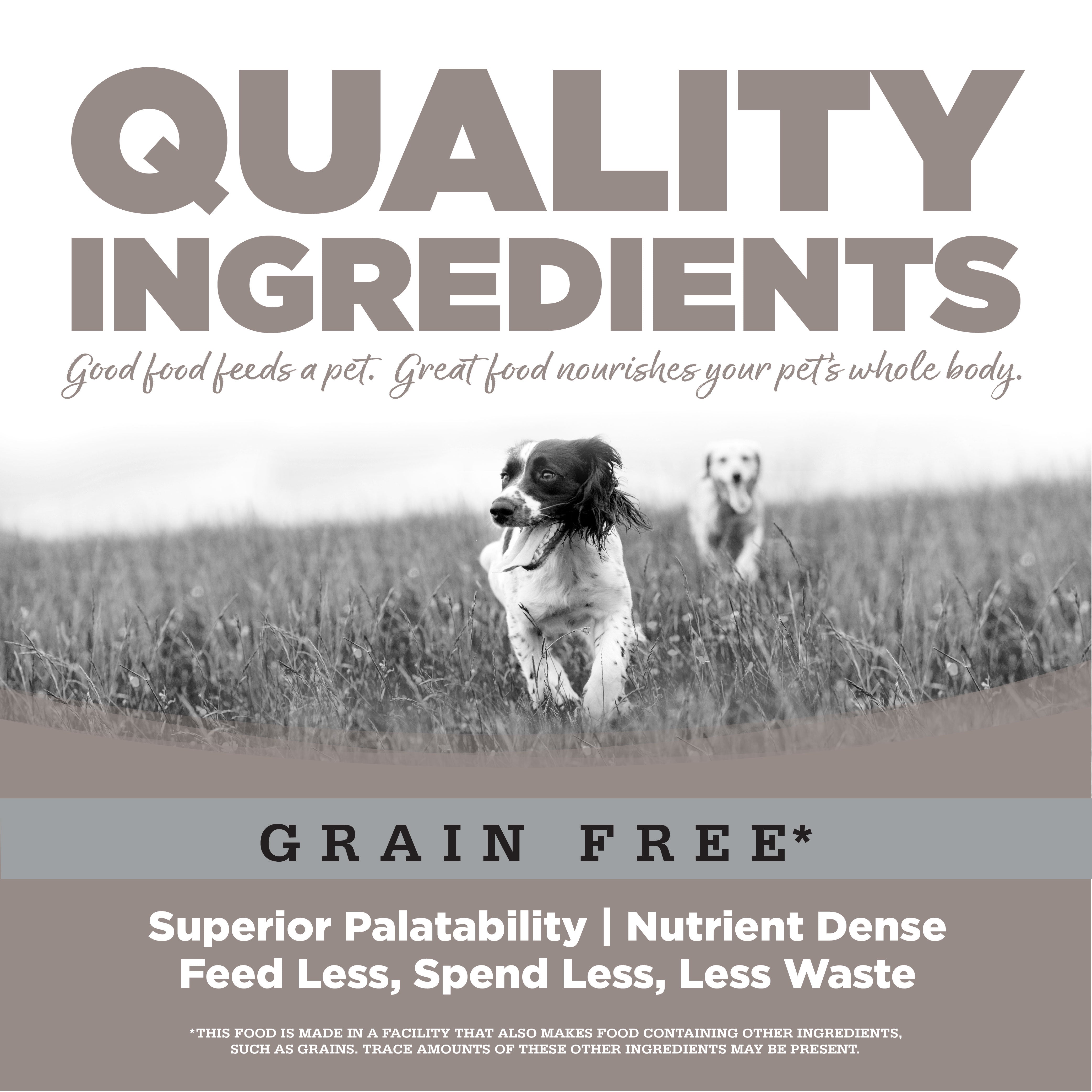Grain Free Senior