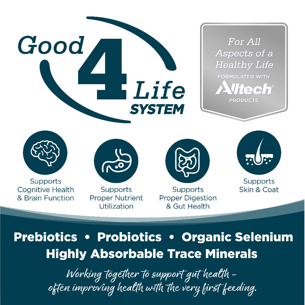 Adult Chicken & Rice Small Bites