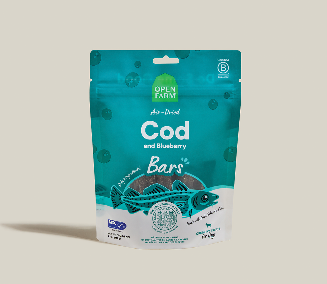 Icelandic Air-Dried Cod & Blueberry Dog Treat Bars