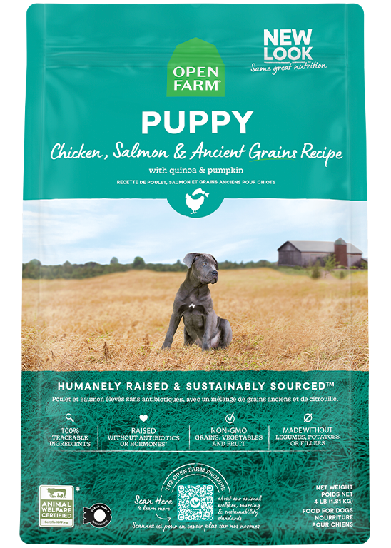 Ancient Grains Puppy Pack