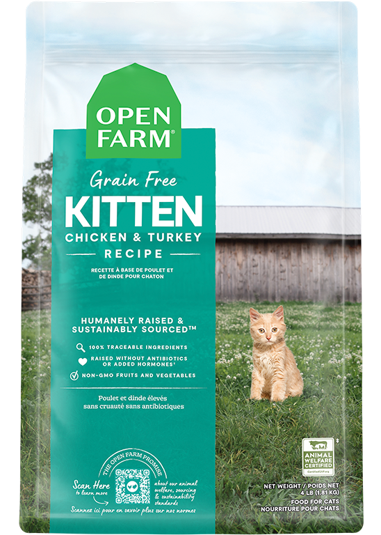 New Kitten Pack