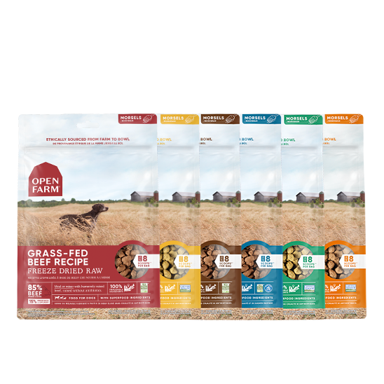 Freeze Dried Raw Variety Pack