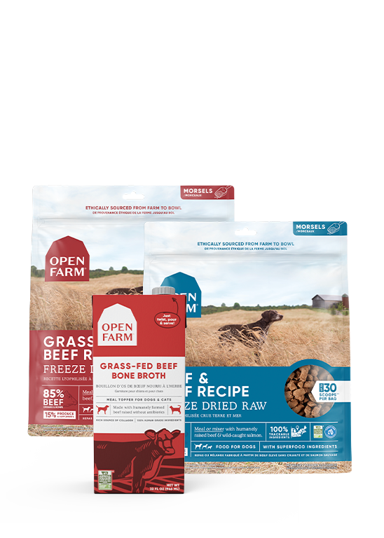 Picky Pets Bundle