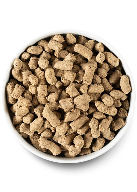 Freeze Dried Raw Variety Pack