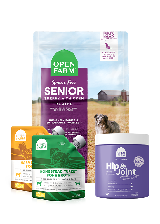 Senior Support Bundle