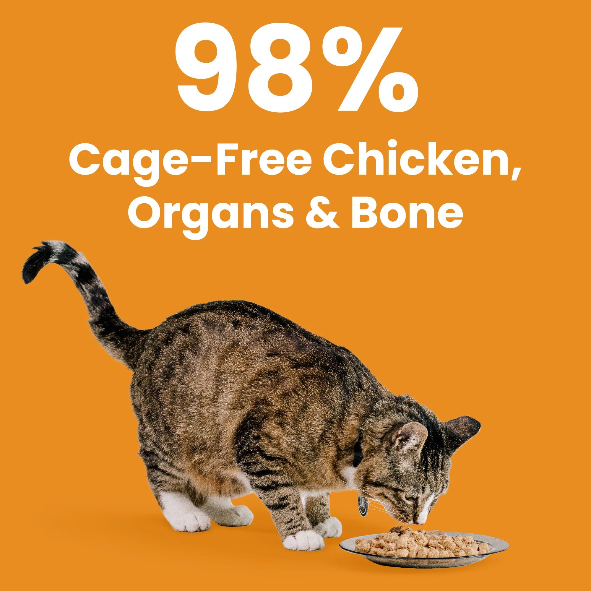 Rawbble® Freeze-Dried Food for Cats - Chicken Recipe