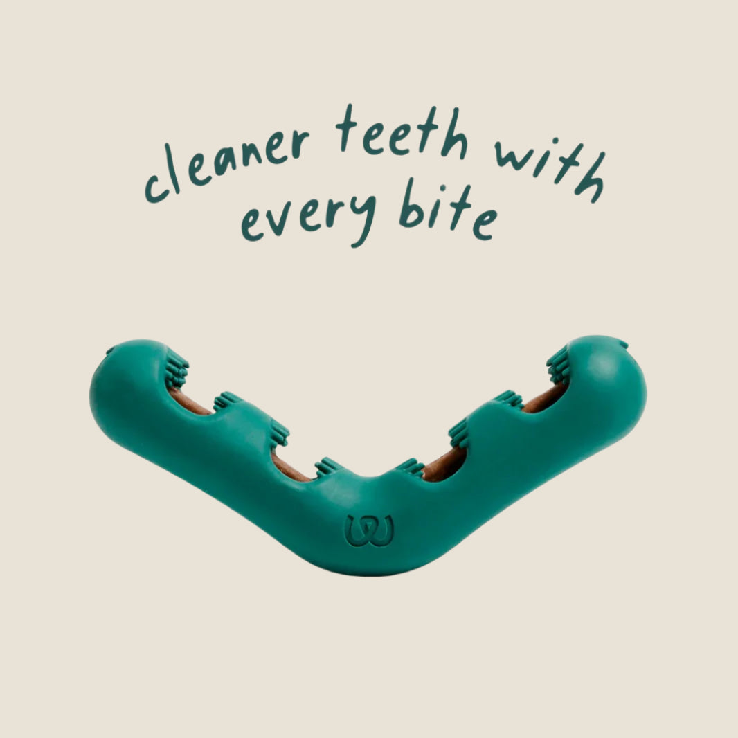 Woof - Bite n' Brush