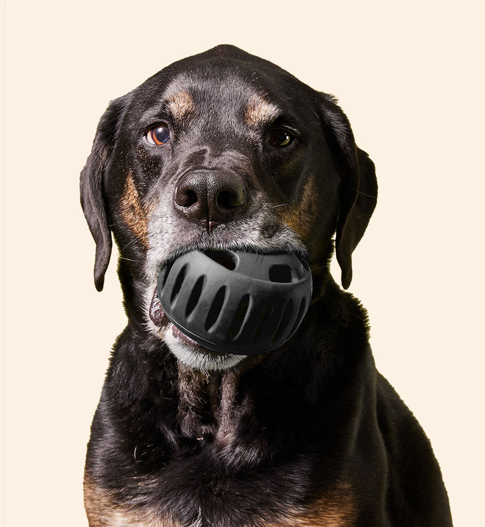 Woof - Power Chewer Pupsicle