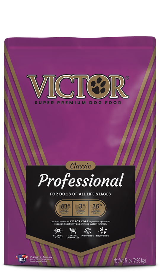 Order Victor Dog Professional 40 lb – The Good Dog Store