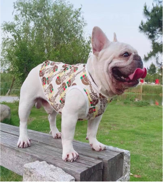 Puppy Gucci x North Face Summer Vest