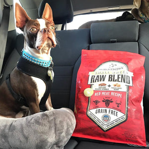 Stella & Chewy’s Raw Blend Red Meat Small Breed Dog freeshipping - The Good Dog Store
