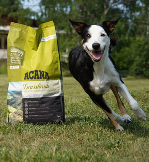 FEATURED SALE: ACANA The Good Dog Store