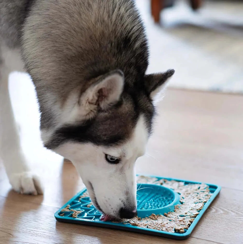 Framed Spill Resistant Silicone Dog Lick Bowl Mat, Enrichment Dog Feeder
