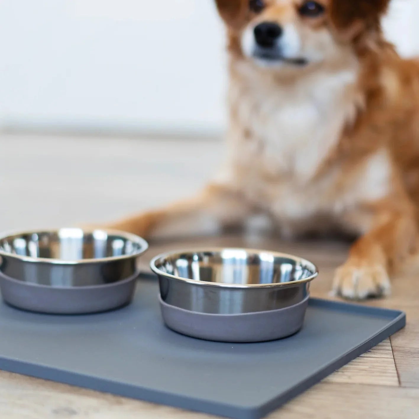 Silicone Non-Slip Pet Bowl Mat with Raised Edge, 15.75" x 12"