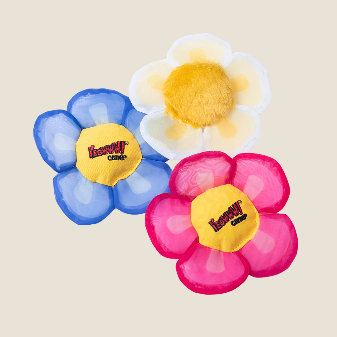 Yeowww! - Catnip Daisy
