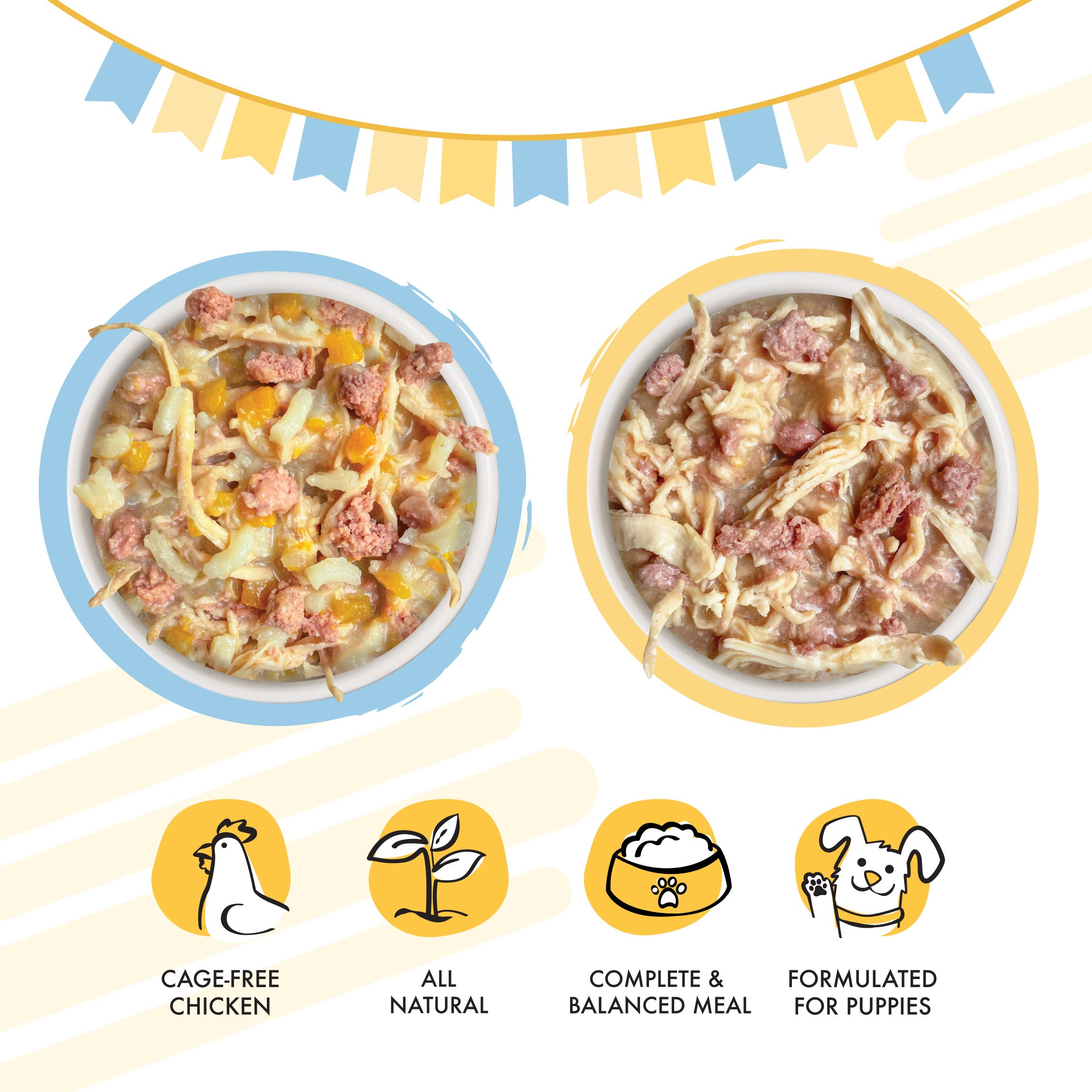 Paw Lickin' Puppy Variety Pack