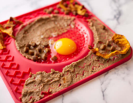 Messy Mutts 10" Therapeutic Dog Lick Bowl Mat, Interactive Dog Feeder