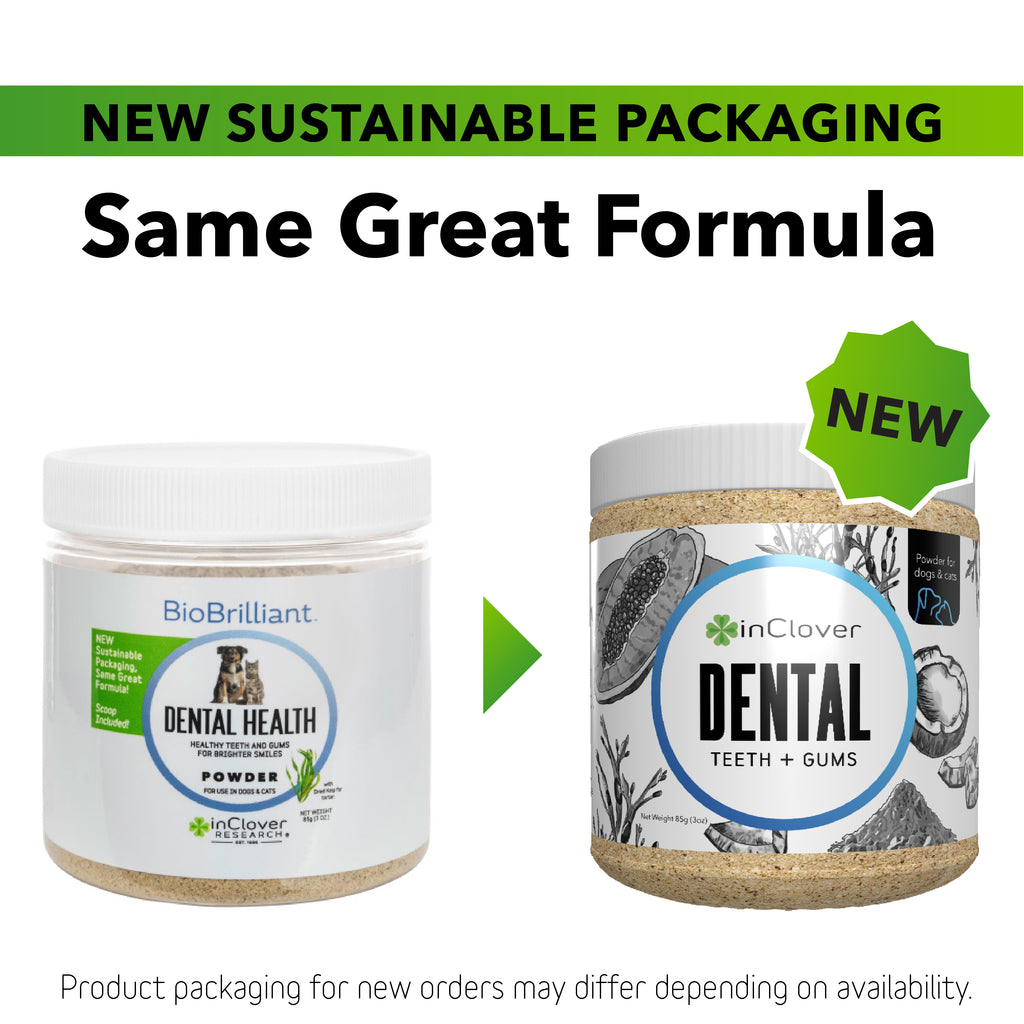 Dental Supplement for Dogs + Cats (BioBrilliant)