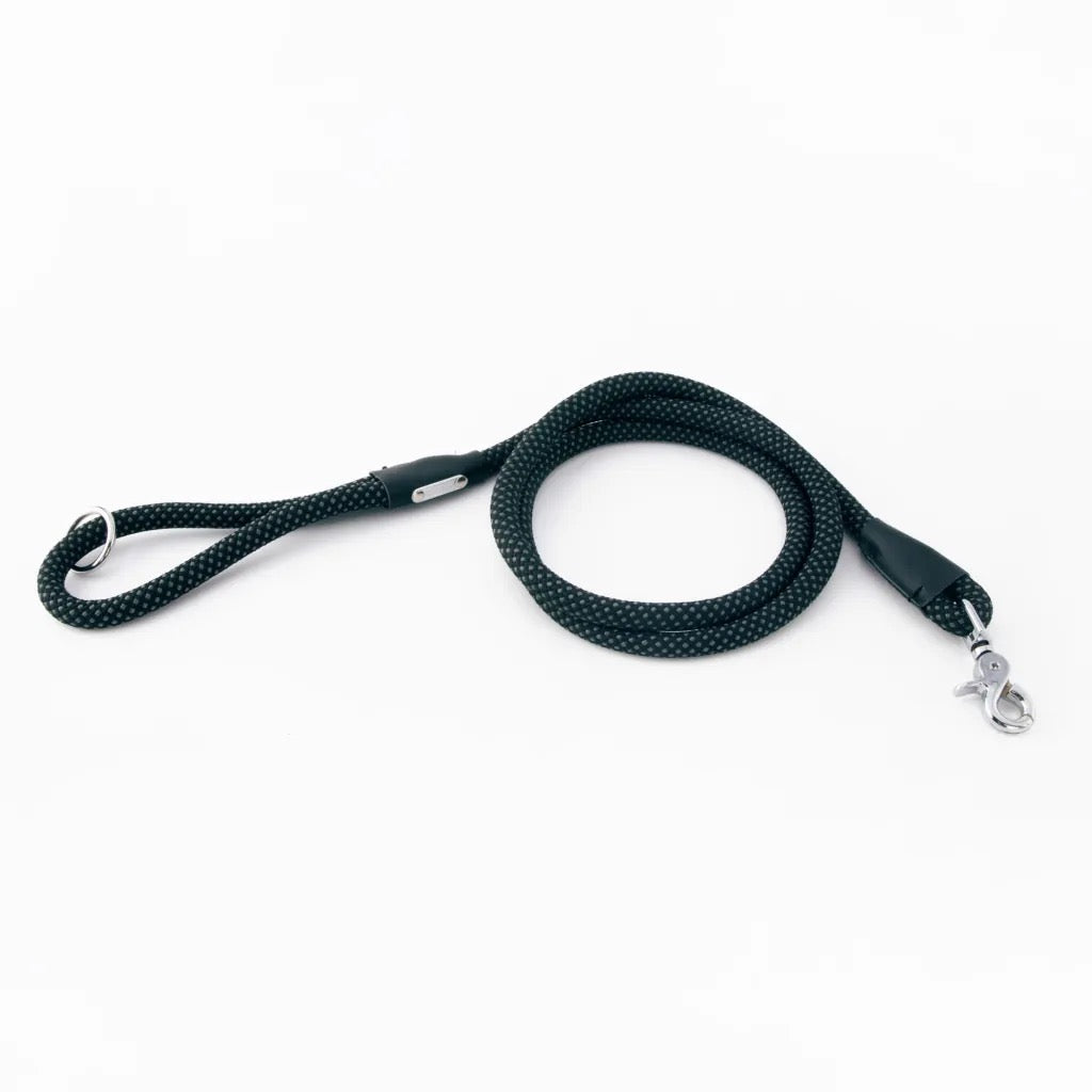 Zippy Paws Mod Essential Leash