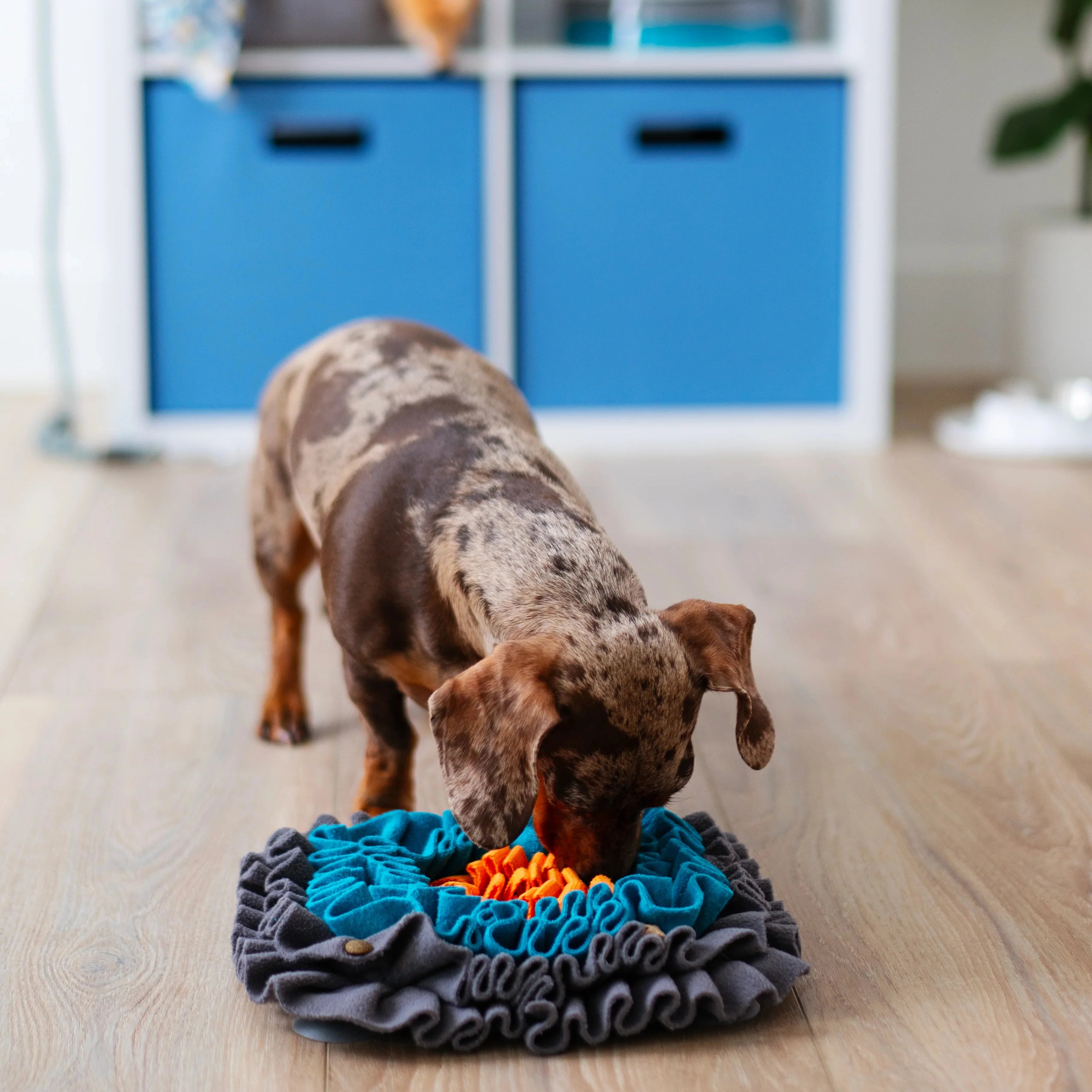 Messy Mutts Square Forage/Snuffle Mat, 11"x 11"