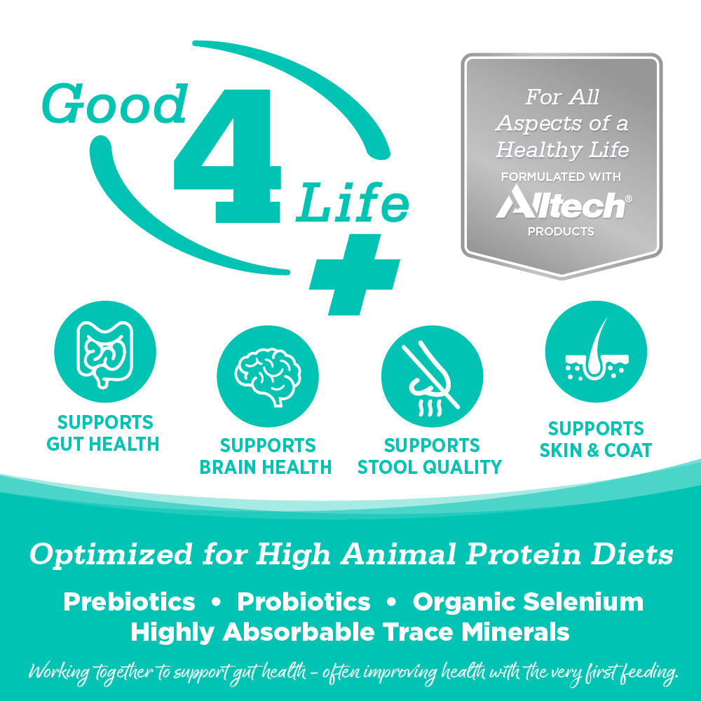 Grain Free Country Select