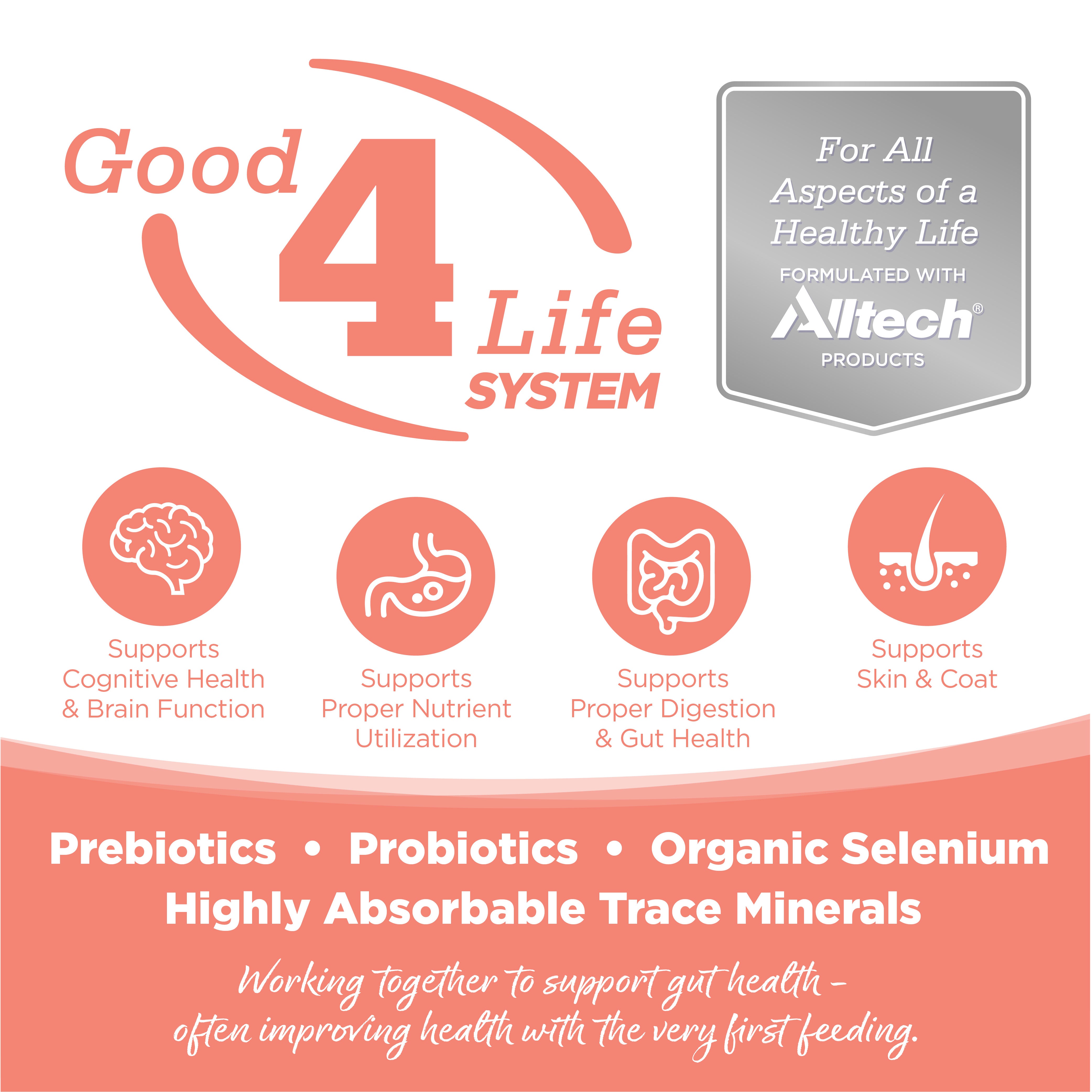 Grain Free Small Bites Seafood Select