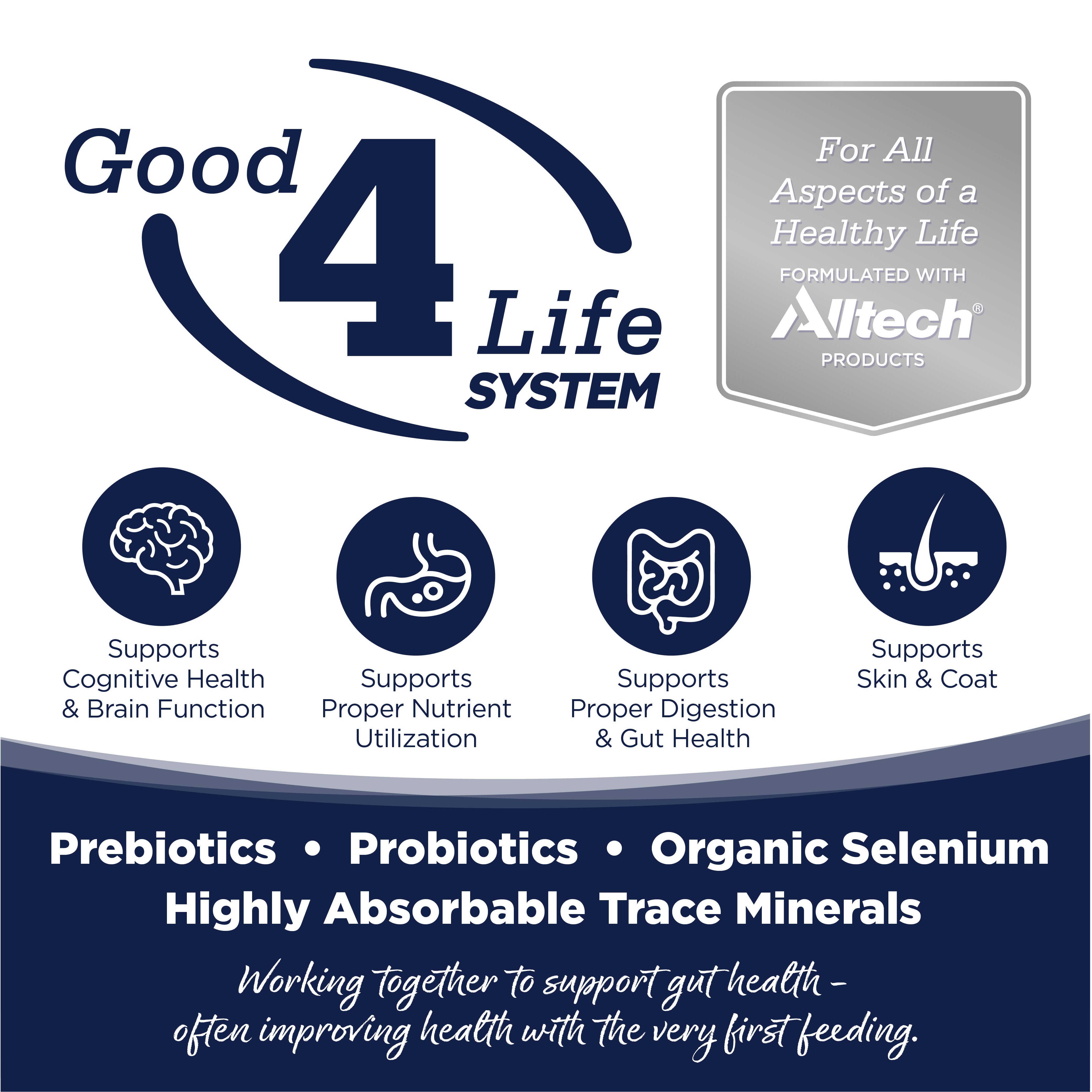 Grain Free Woodlands Select