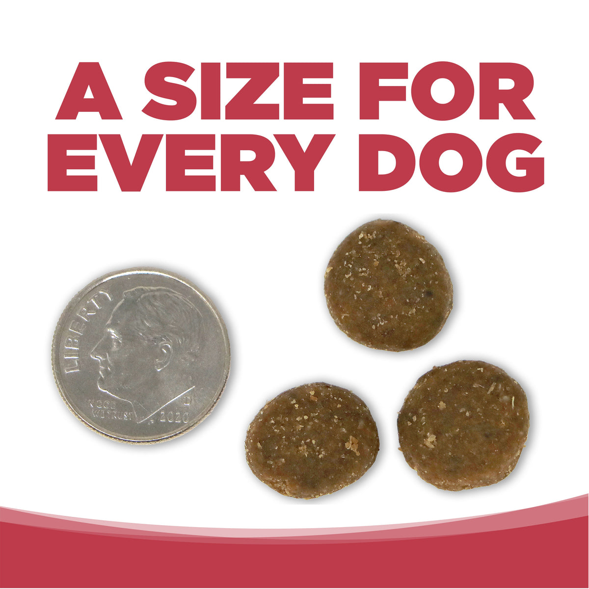 Super Performance Gel Super Performance – The Good Dog Store