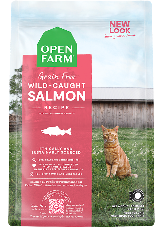 Wild-Caught Salmon Grain-Free Cat Kibble
