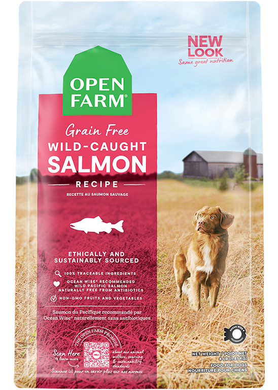 Wild-Caught Salmon Grain-Free Dog Kibble