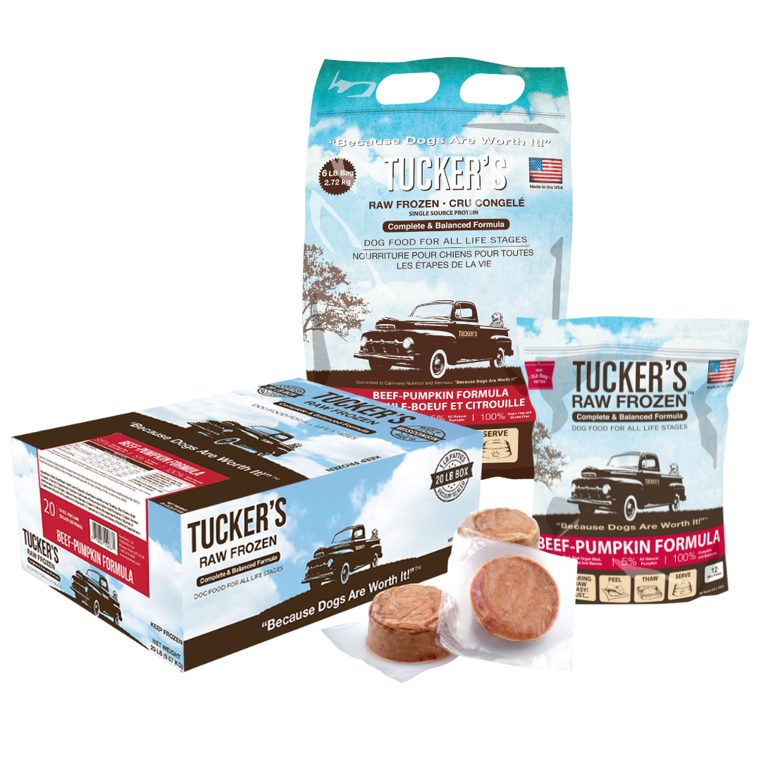 Raw beef diet for dogs