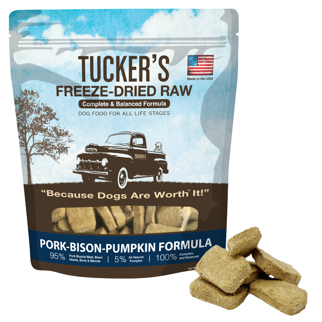 Freeze dried raw pork and bison dog food