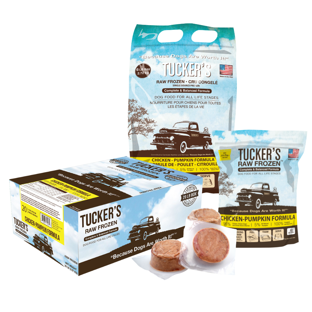 Raw chicken diet for dogs